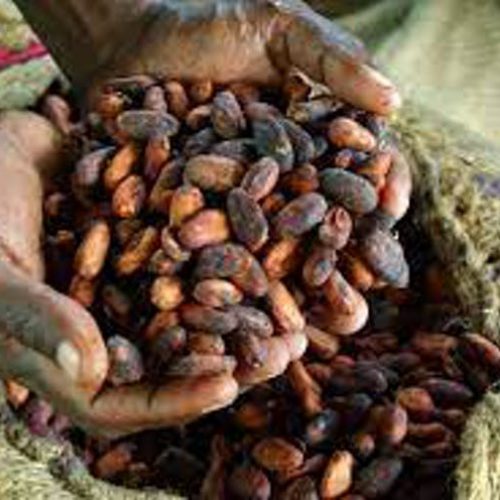 West African cocoa farmers are largely poor despite the value of their crop.
Irene Scott/Wikimedia Commons, CC BY-SA