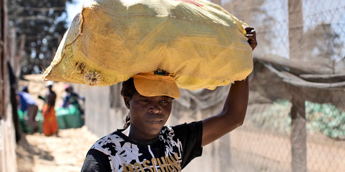 A worker carries bagged corn at Ivordale Farm on August 1, 2018 outside Harare, Zimbabwe. (Credit: Dan Kitwood/Getty Images)