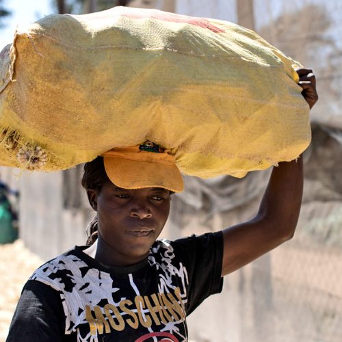 A worker carries bagged corn at Ivordale Farm on August 1, 2018 outside Harare, Zimbabwe. (Credit: Dan Kitwood/Getty Images)