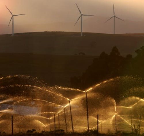 Turbines on a wind farm outside Caledon near Cape Town, South Africa.
Photo by Nardus Engelbrecht/Gallo Images/Getty Images