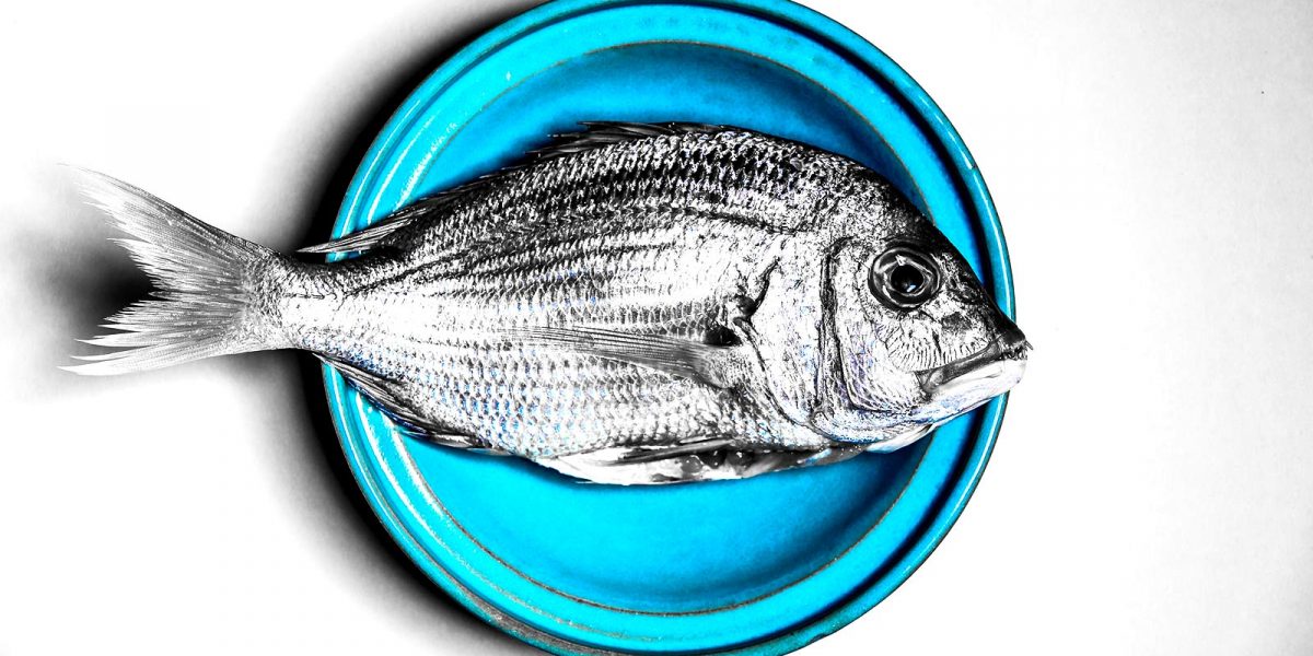 The researchers found blue foods to rank more highly than terrestrial animal-source foods in terms of their nutritional benefits and potential for sustainability gains. (Credit: Getty Images)

SHARE THIS
ARTICLE
Facebook
 
Twitter
 
Email
You are free to share this article under the Attribution 4.0 International license.

TAGS
FISH
FOOD
OCEANS
SEAFOOD
SUSTAINABILITY
UNIVERSITY
UNIVERSITY OF CALIFORNIA, SANTA BARBARA
