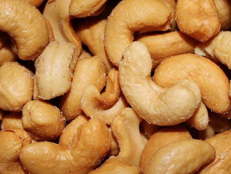 Key cashew producing countries in Africa are rolling out strategies to increase production and processing of raw cashew nuts.
Wikimedia Commons