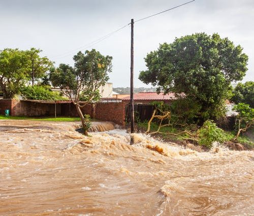 Floodwaters in the town of Bushmans River in the Eastern Cape of South Africa.
Shutterstock