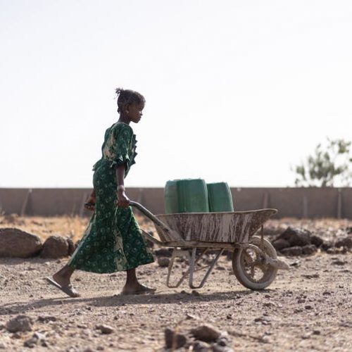 A young woman fetching water. Climate change literacy rates in Nigeria range from 71% in Kwara to 5% in Kano.
Shutterstock