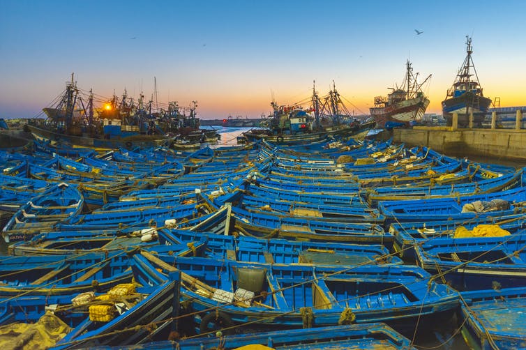 Traditional blue boats moored at the harbour of Essaouira, Morocco.
Marco Bottigelli/GettyImages