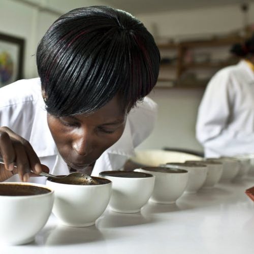 Tasting coffee at the Good African Coffee company’s factory, in Kampala, Uganda.
Photo by Jonathan Torgovnik/Getty Images