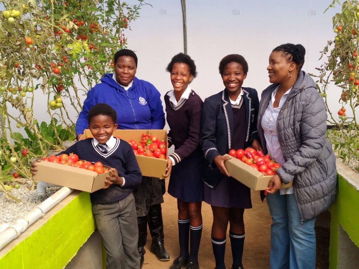 NOURISHING THE FUTURE: School children benefit from the fresh produce grown at the aquaponics project