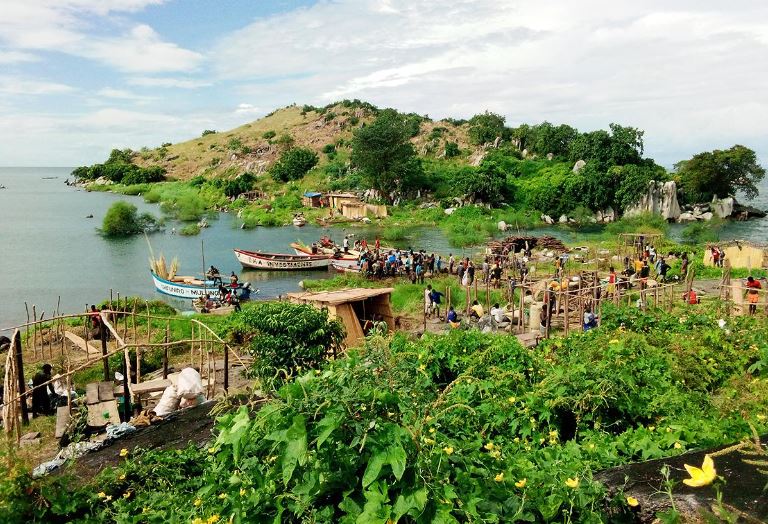 Malawi’s Miracle Island, Where Fish Remain Plentiful Despite Climate Crisis