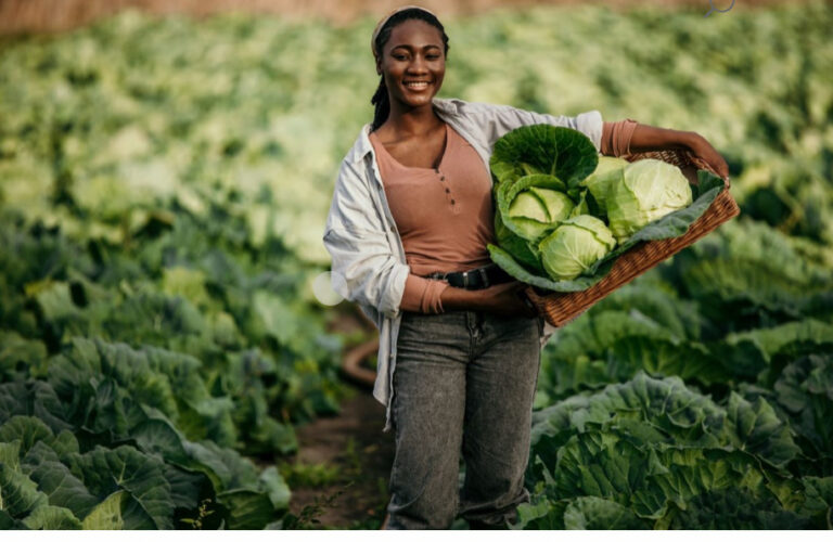 African female farmer carrying cabbages in a field