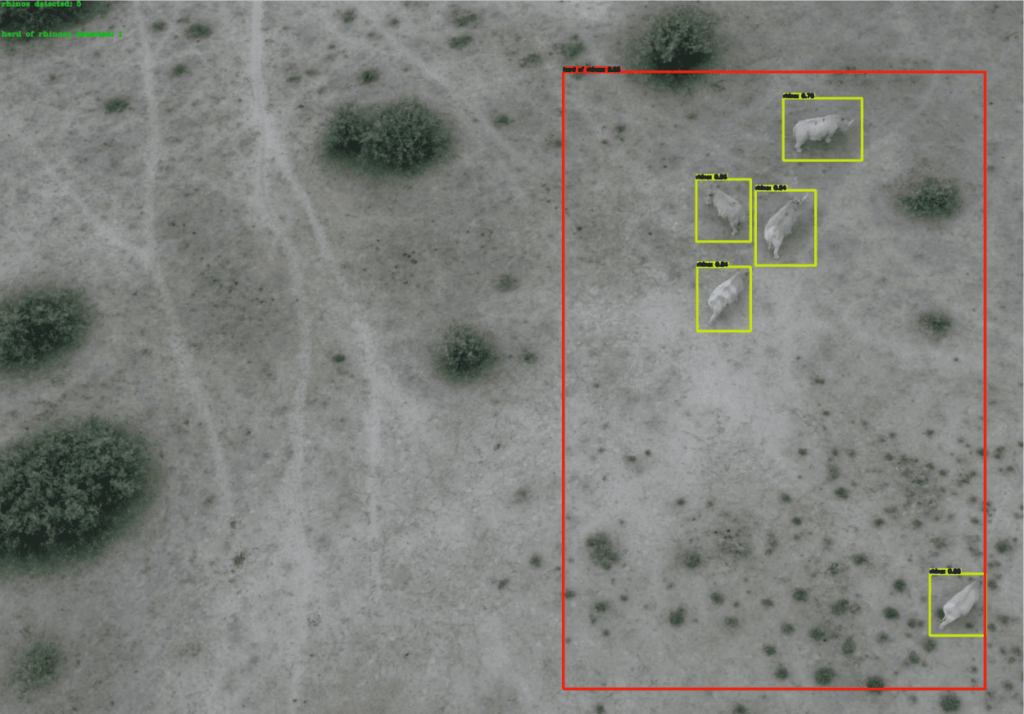 The team trained computers to recognize herd behavior based on data points for species classification and perform count. Credit: Tinao Petso