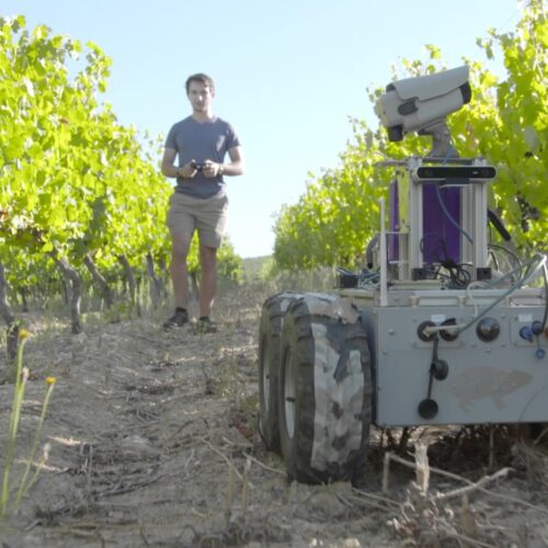 The CSIR, in collaboration with Stellenbosch University, has developed a robotic system for horticultural monitoring. 